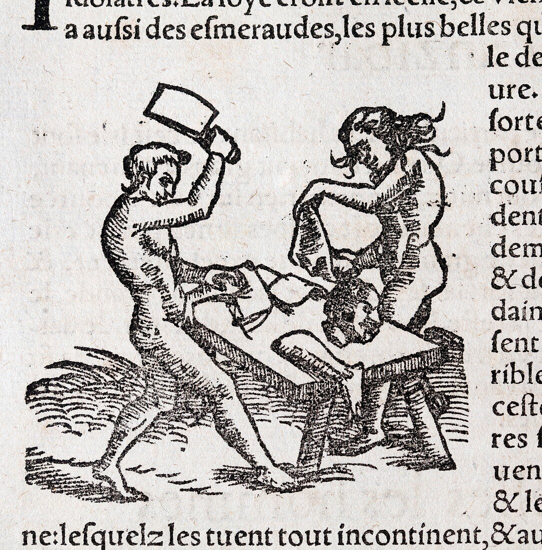 1560 Munster Comographia Cannibals