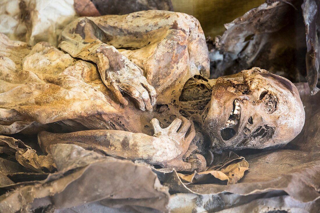 Kela,a mummified Tierra Del Fueguian