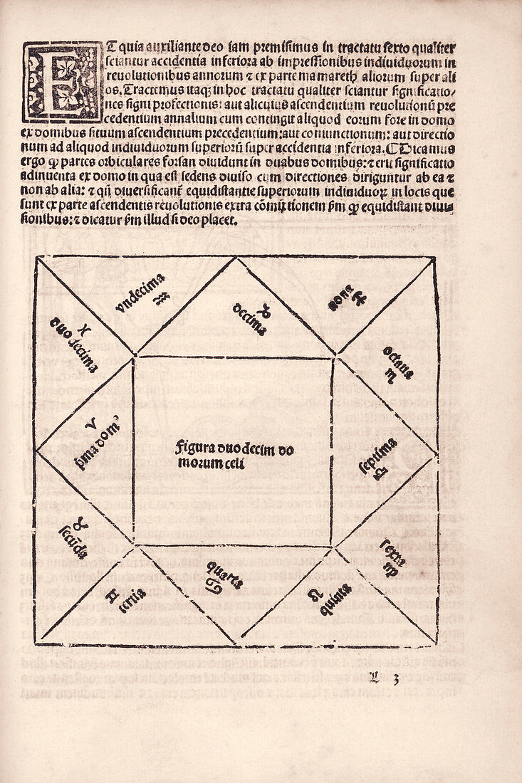 Astrological horoscope,16th century