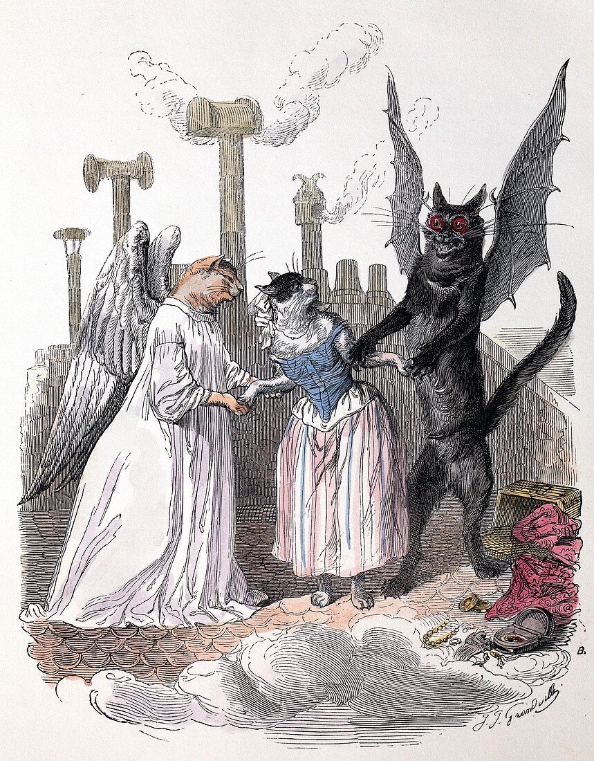 1845 Anthropomorphic devil angel cats