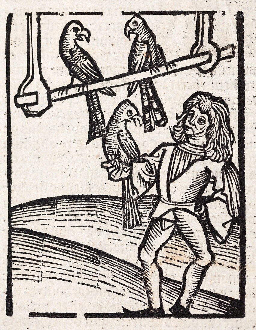 1491 First print Falconer Ortus Sanitatis