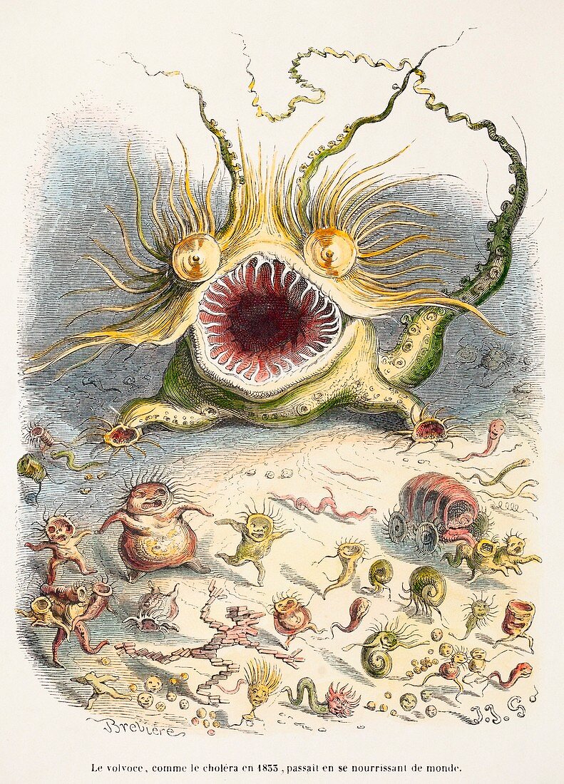 1833 Cholera Pandemic Grandville cartoon