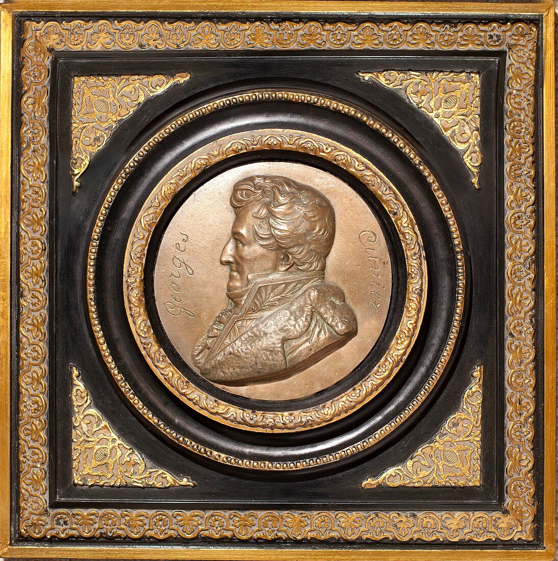 1832 Baron Cuvier Brass Plaque Bas-relief