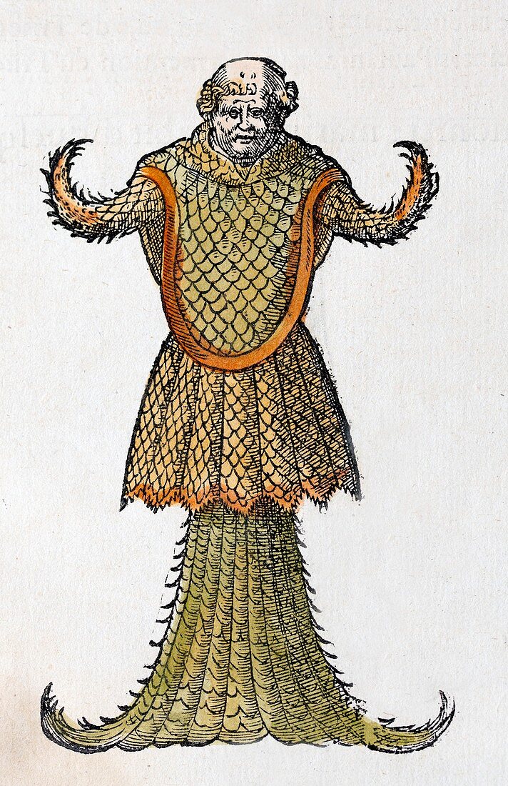 1554 Rondelet's Sea Monk Monster