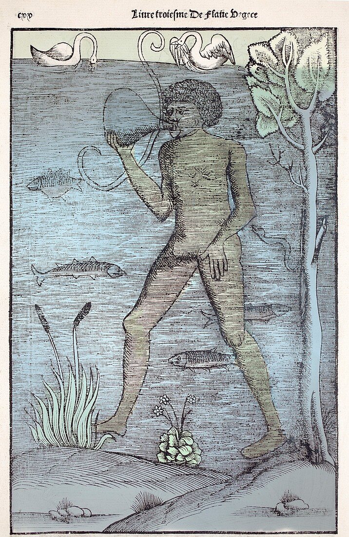 1532 A medieval diver bladder aqualung