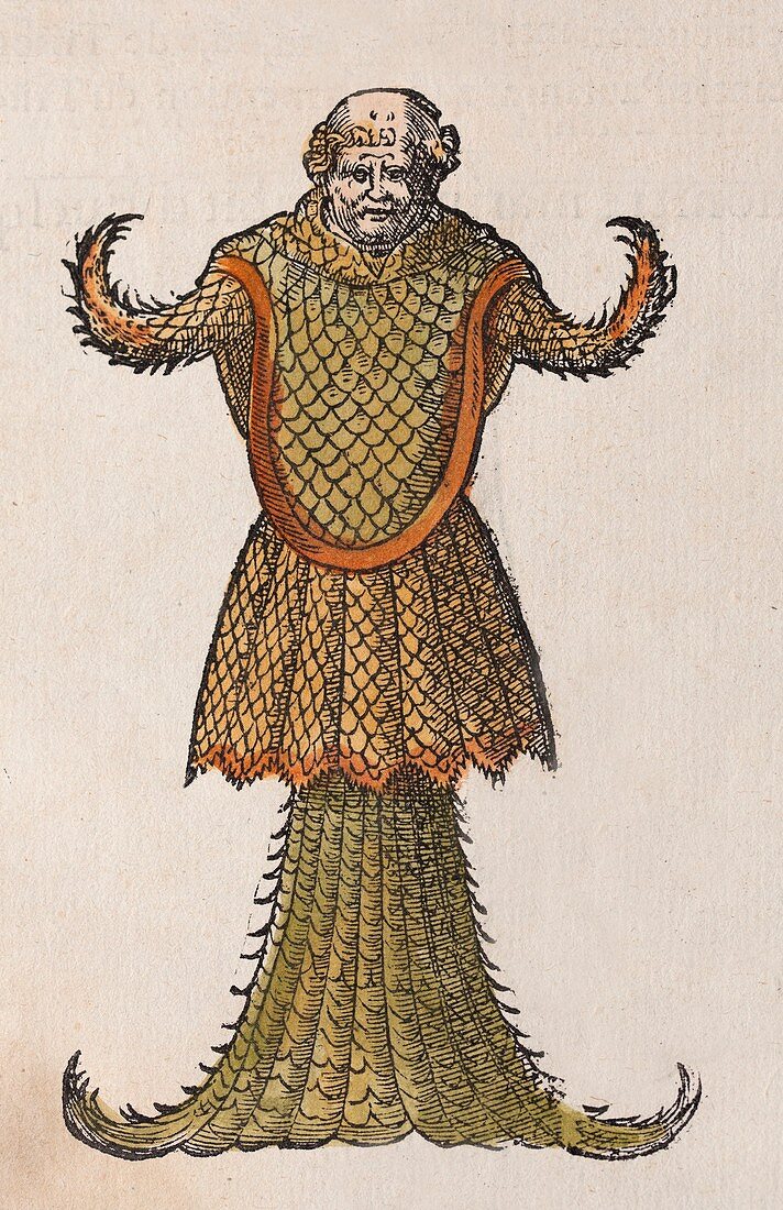 1554 Rondelet's Sea Monk Monster toned