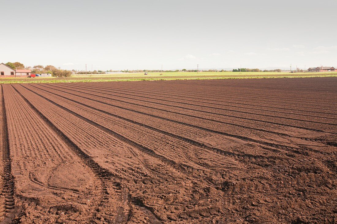 Soil on a farm on the Lancashire mossland
