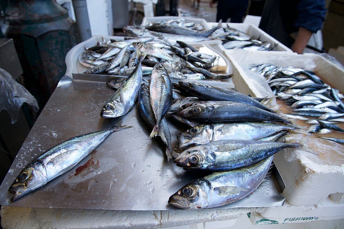 Fish market in Porto,Portugal