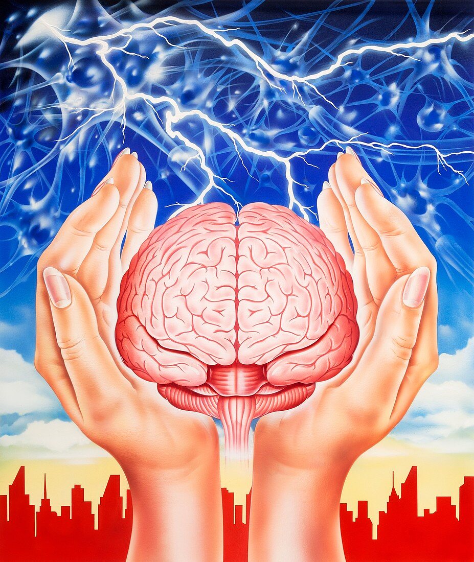Brain protection,conceptual illustration