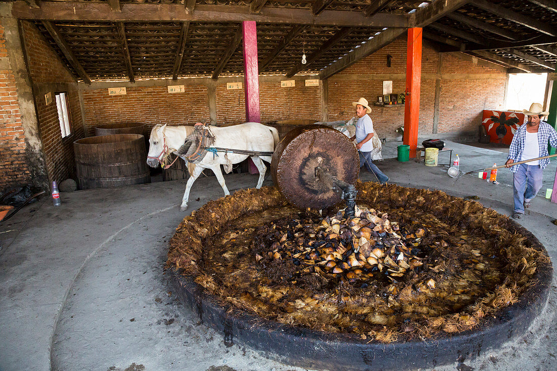 Mezcal distillery,Mexico