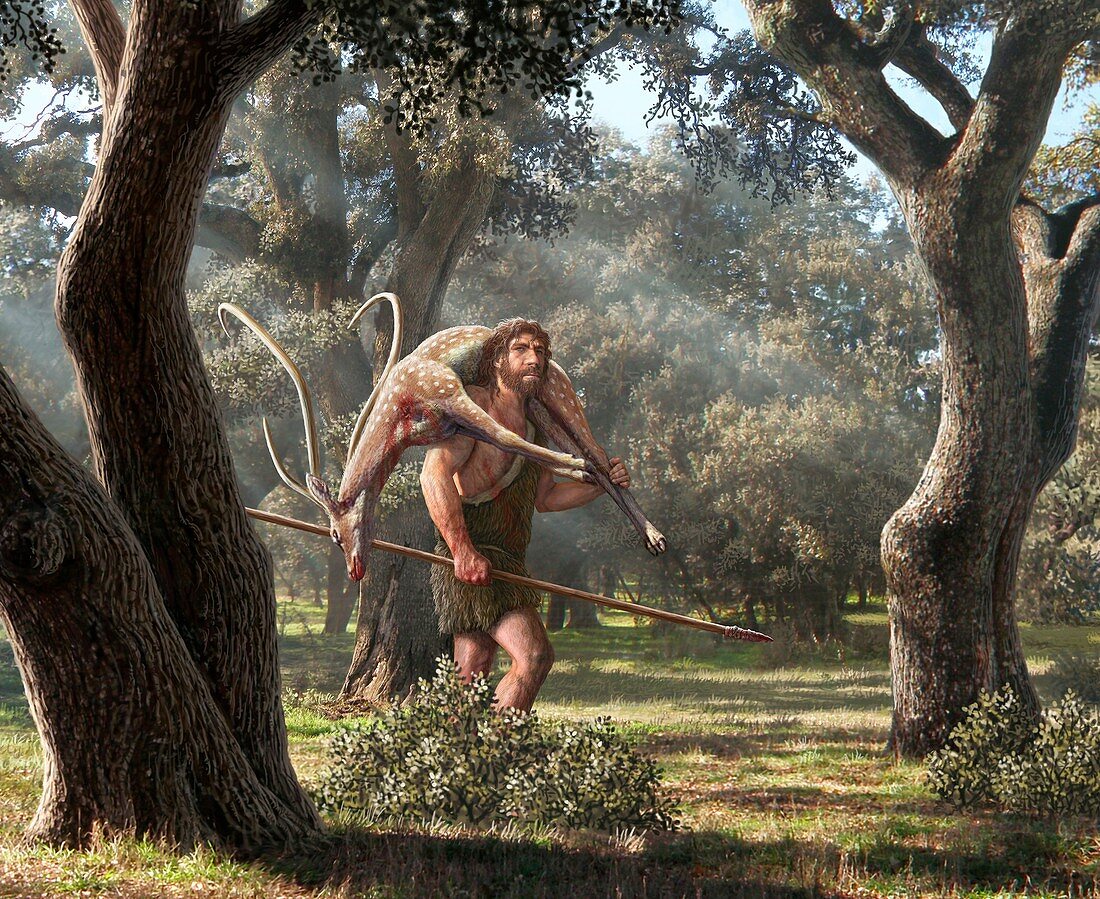 Neanderthal hunter,illustration