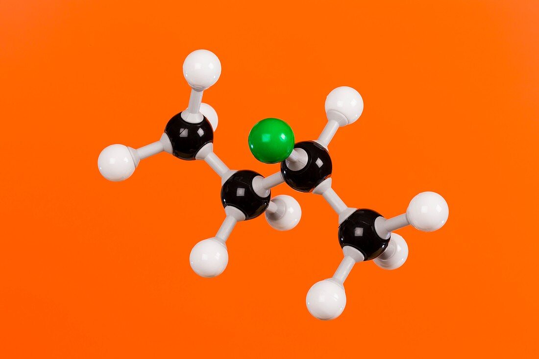 Chlorobutane,molecular model