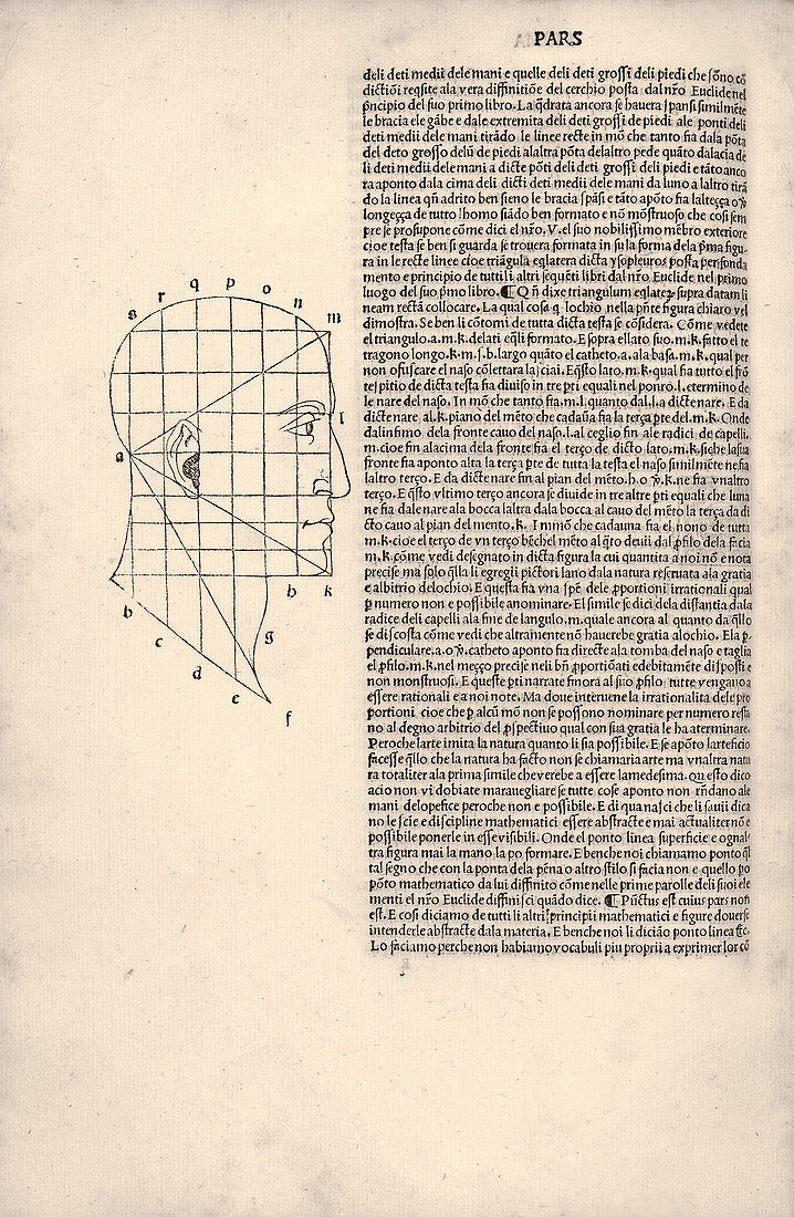 Proportions of the human face,1509