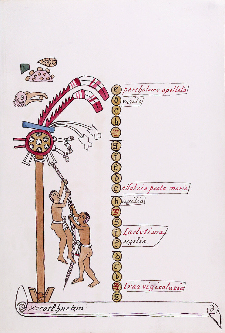 Aztec month Hueymiccaihuitl,16th century