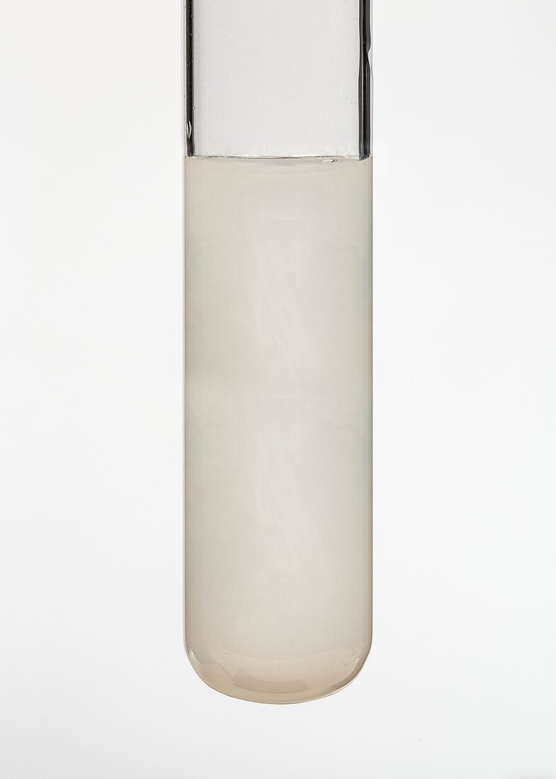 Test tube of silver chloride