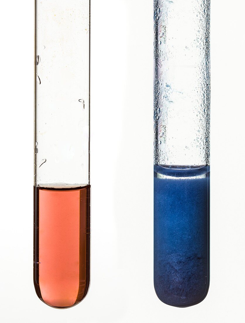 Cobalt hydroxide precipitate