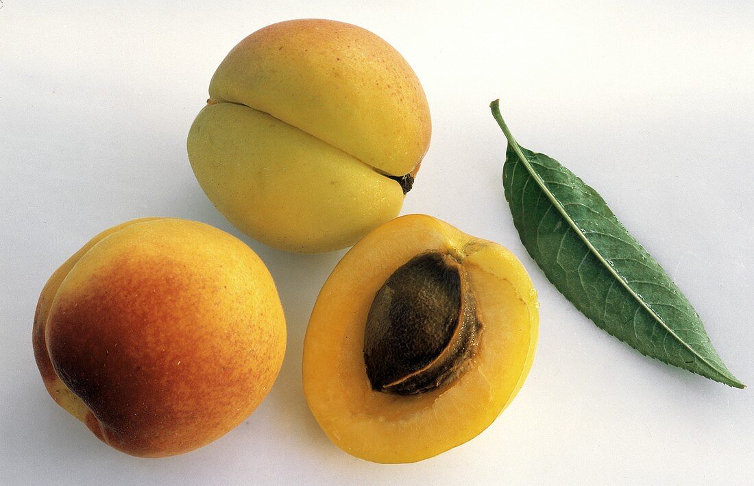 Apricots; Whole and Halved; Leaf