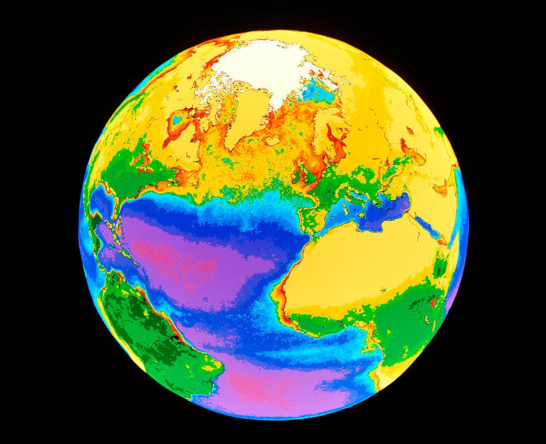 Global biosphere,northern hemisphere,from space