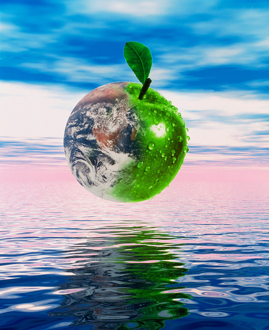 Computer artwork of half Earth and half apple
