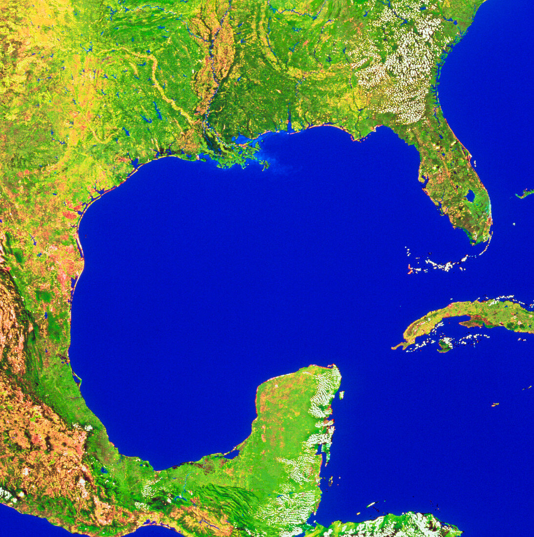 Gulf of Mexico,satellite mosaic