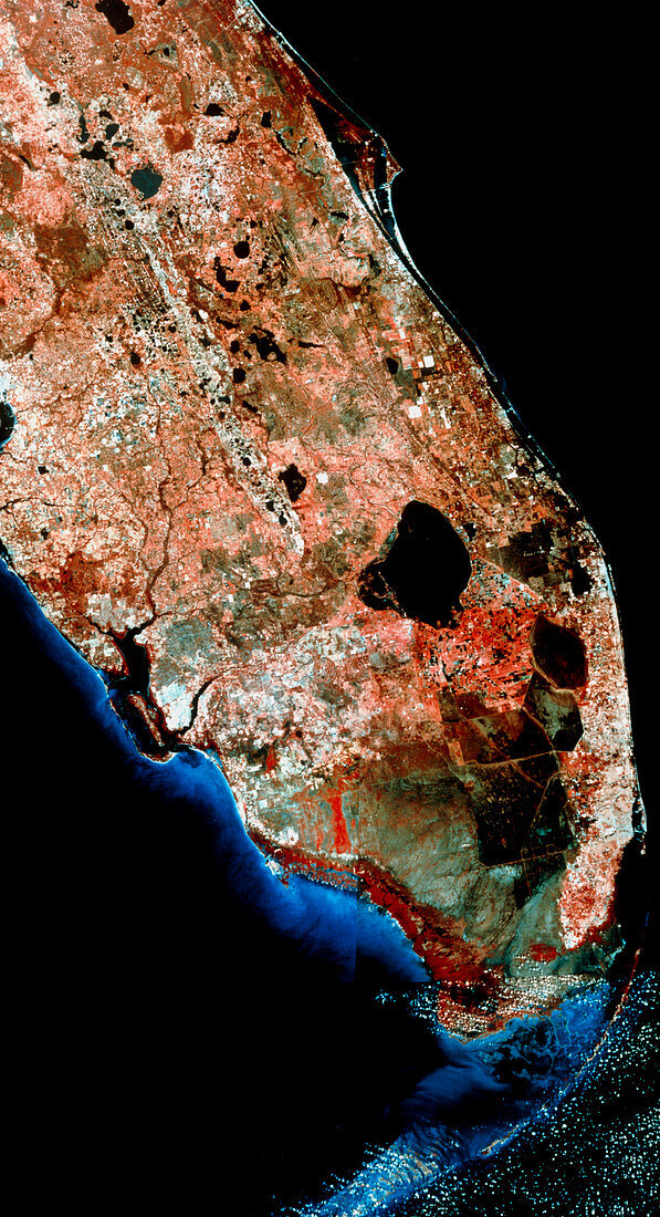 Infrared satellite image of southern Florida,USA