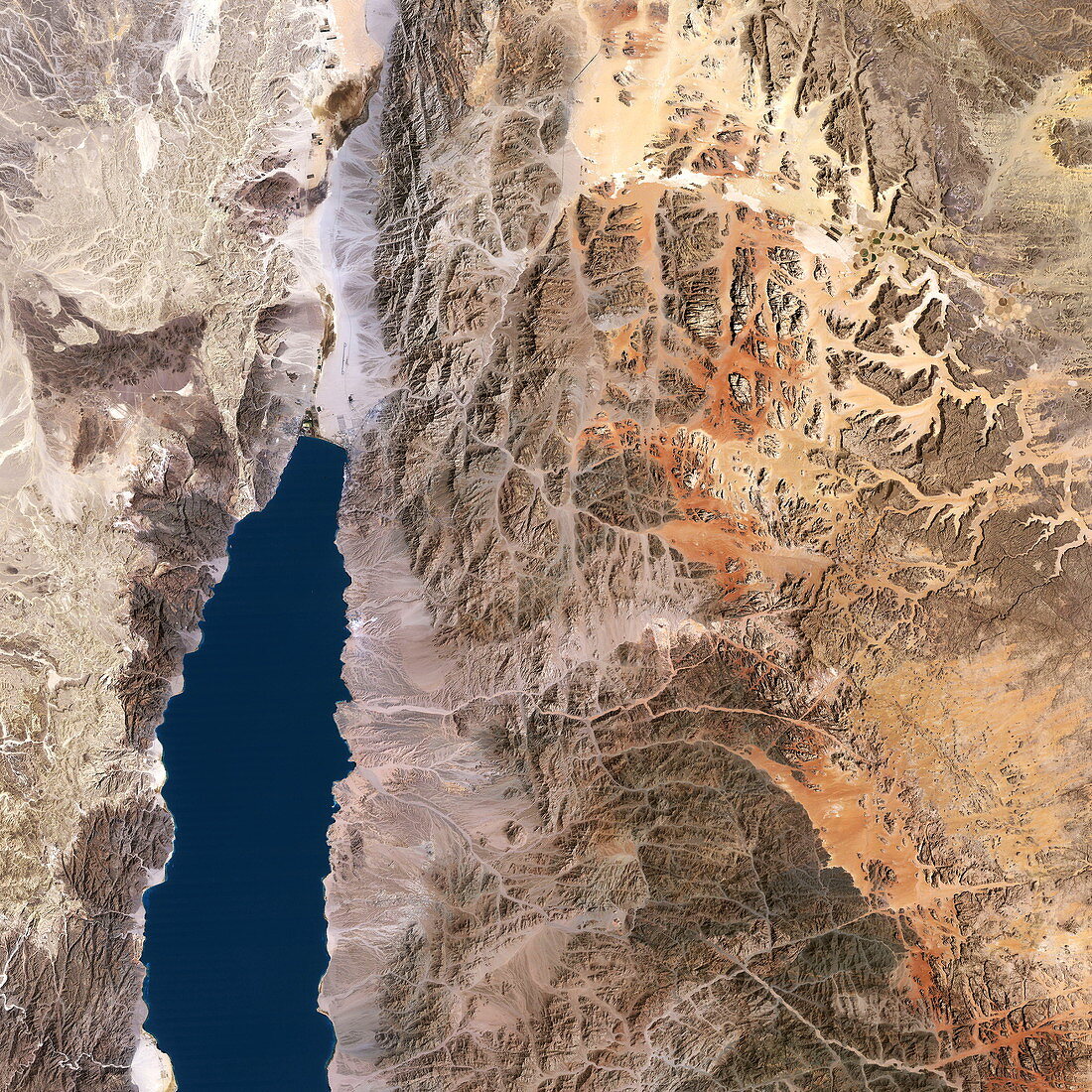 Transjordanian plateau