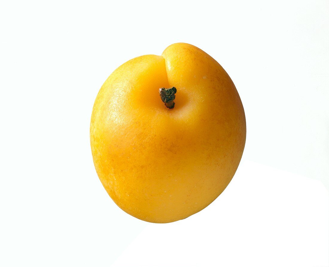 An apricot