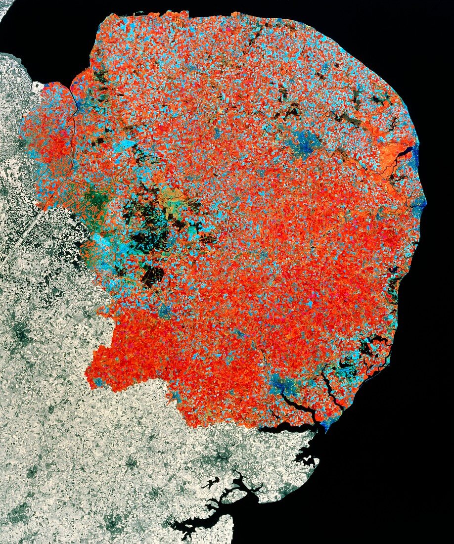 Landsat TM image of East Anglia,England