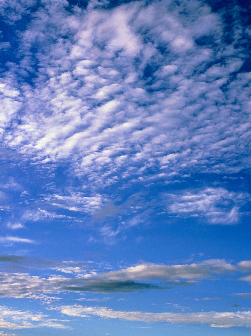 Cirrocumulus and Stratocumulus clouds