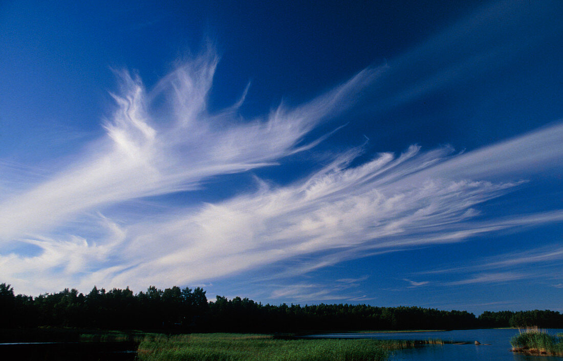 Cirrus 'Mare's tails' clouds