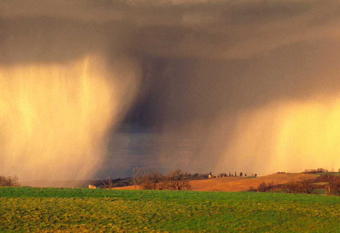 Distant view of rainfall (showers) on a field