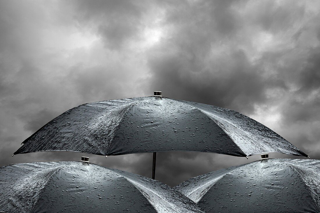 Wet umbrellas,composite image