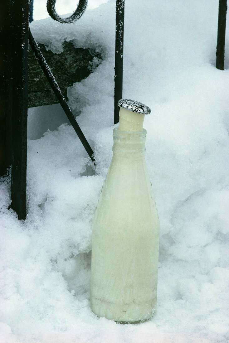 Frozen milk