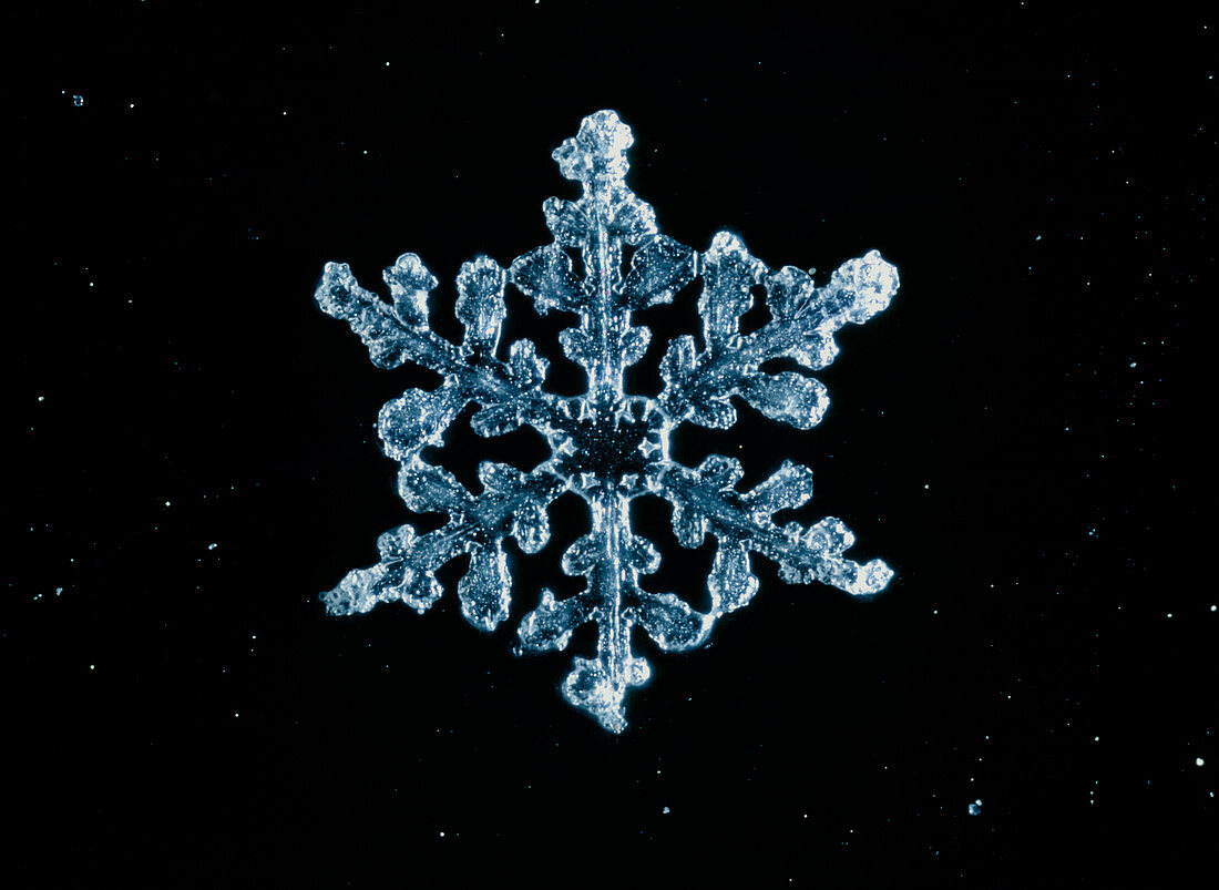 Macrophotograph of a snow crystal