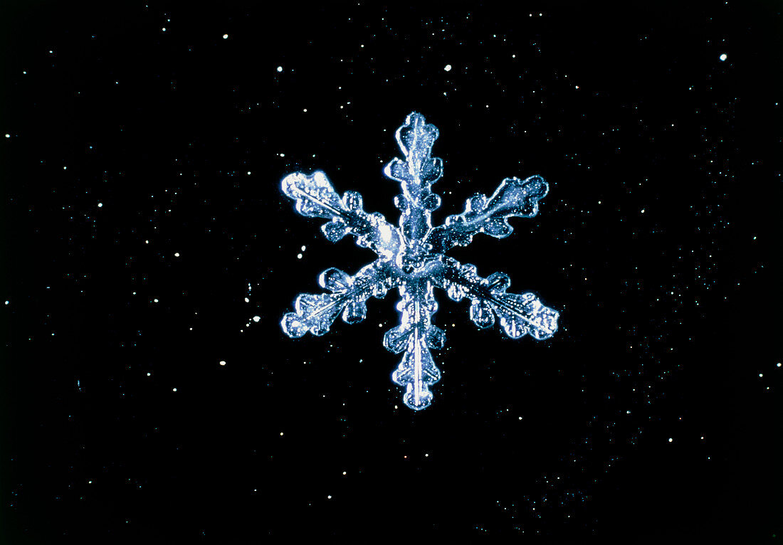 Macrophoto of snow crystals' hexagonal symmetry