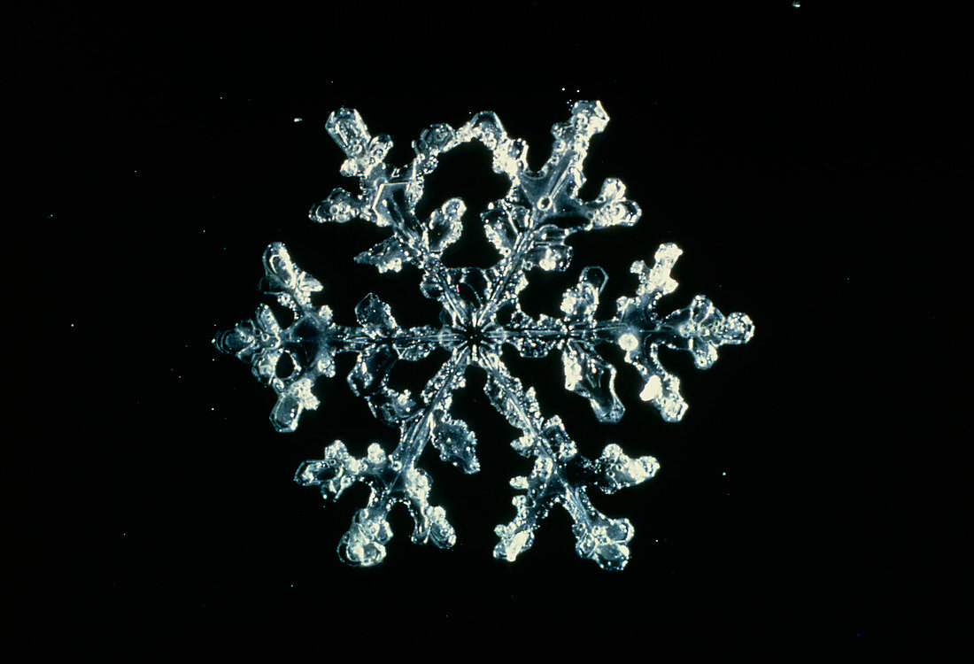 Macrophoto of a snow crystal