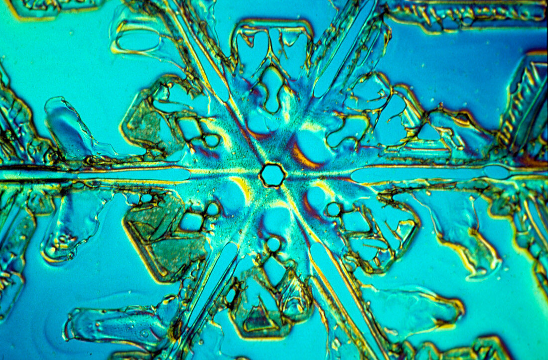 Light micrograph of snow crystal