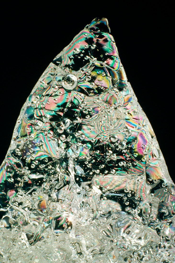 PLM of a stalagmite