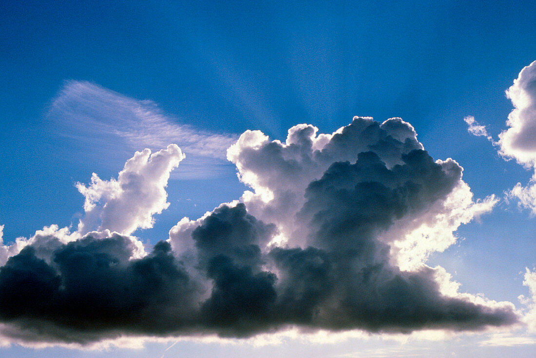 Cumulus cloud illuminated by the Sun