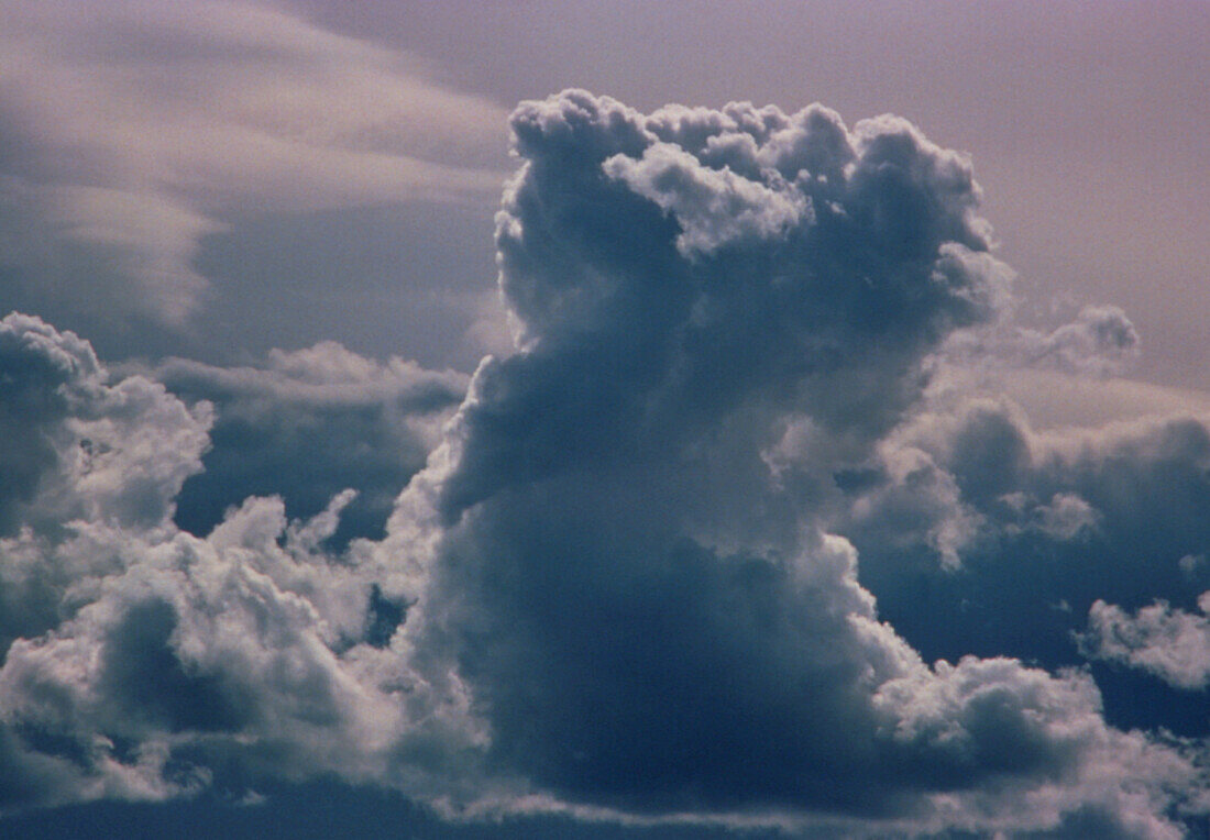 Cumulus cloud forming a tower