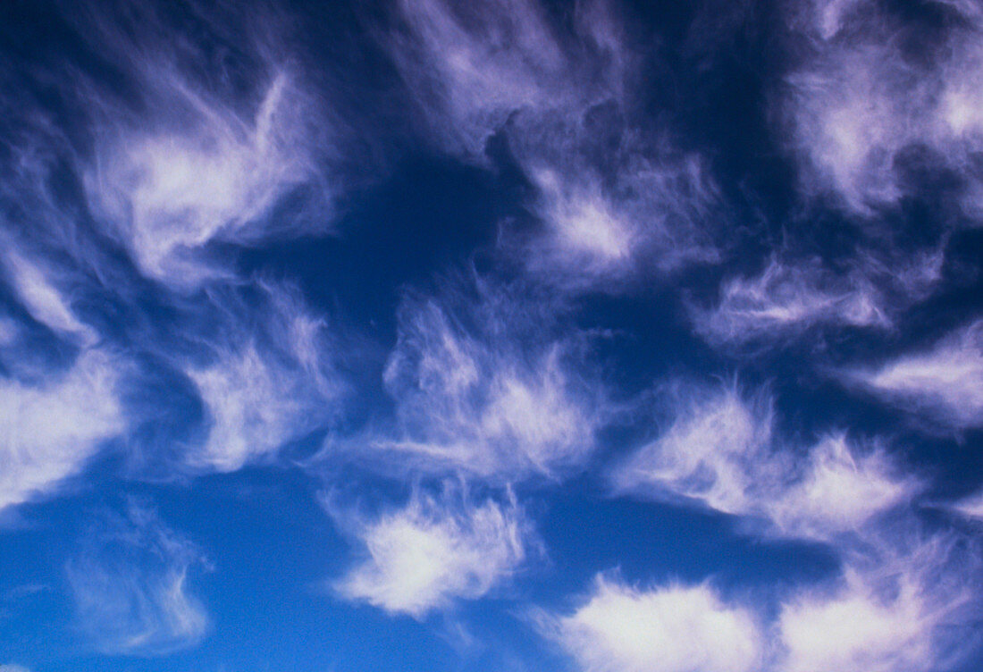 Plumes of cirrus cloud in the sky