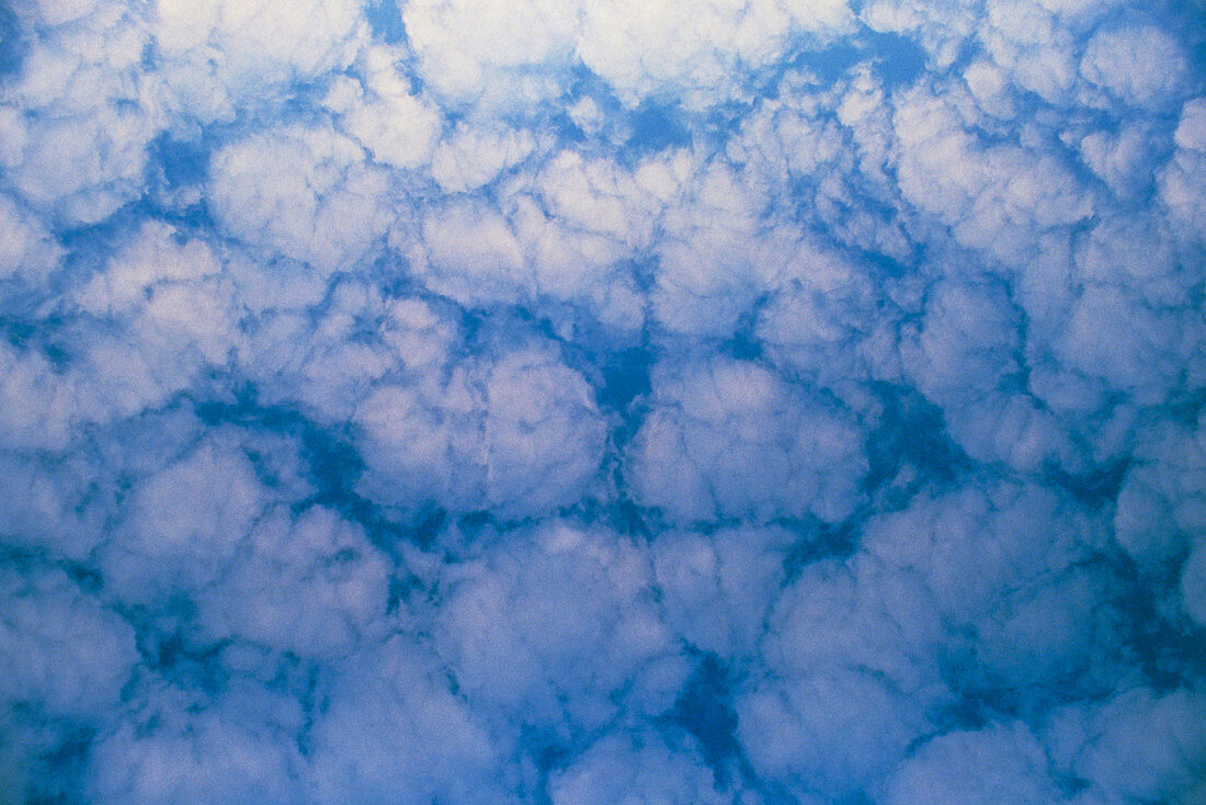Mackerel sky; altocumulus clouds