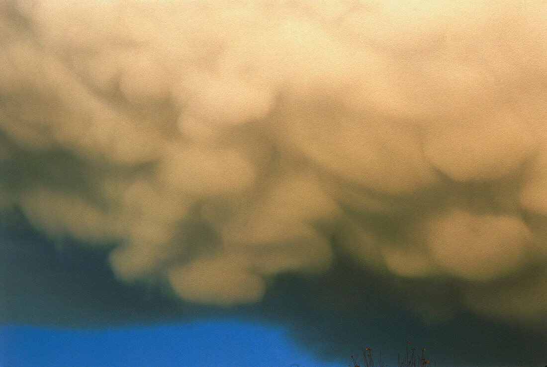 Mammatus formation under a cumulonimbus cloud