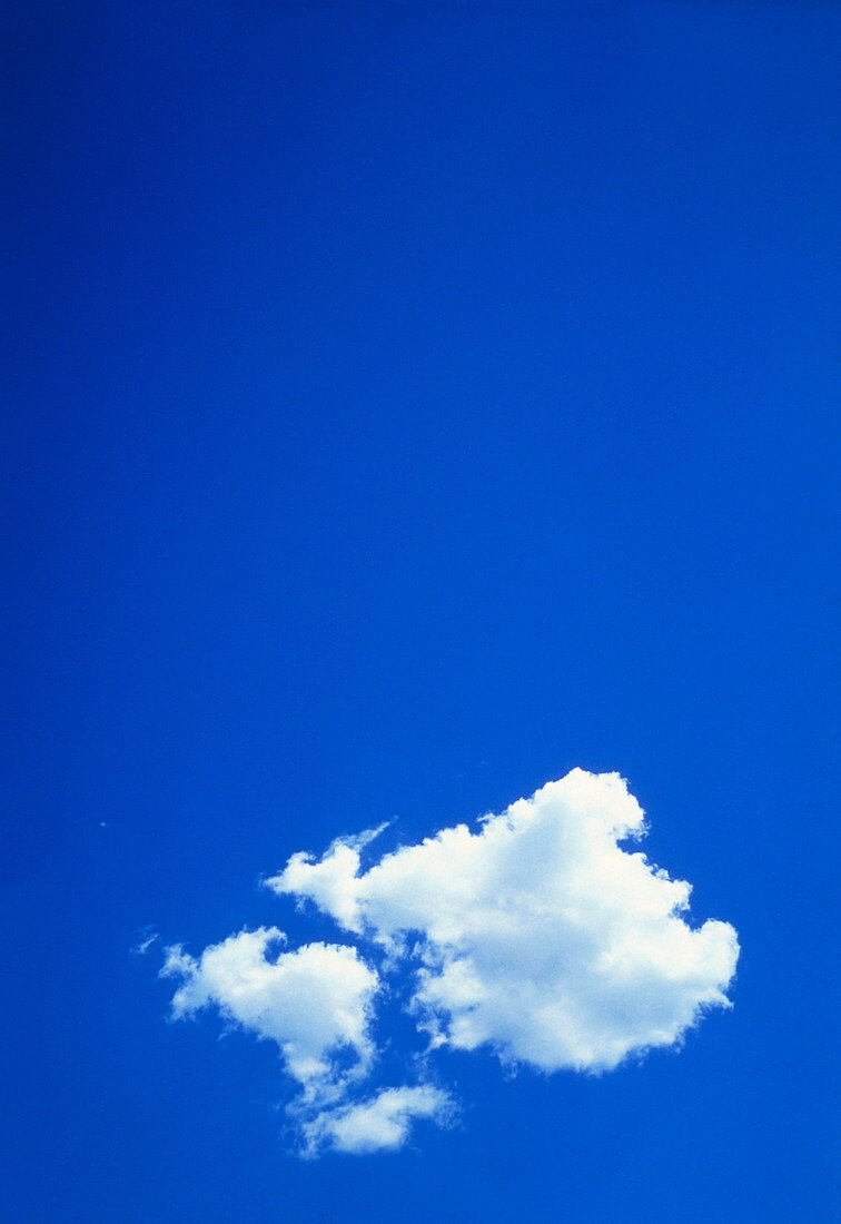 View of a cumulus cloud