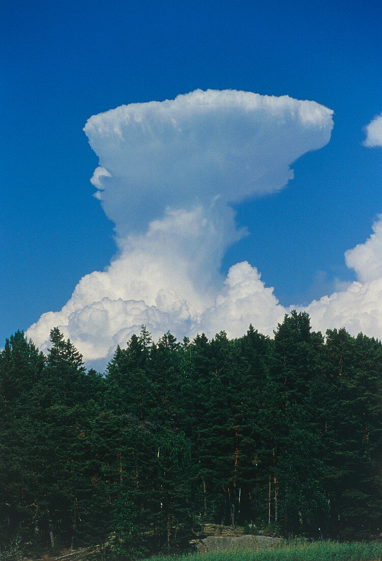 Cumulonimbus clouds