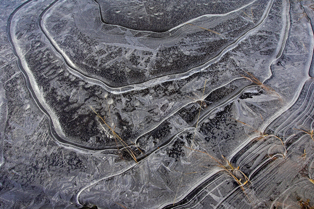 Ice patterns on a pool