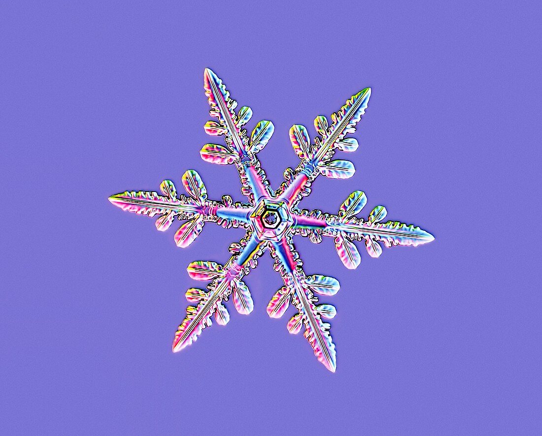 Snowflake,light micrograph