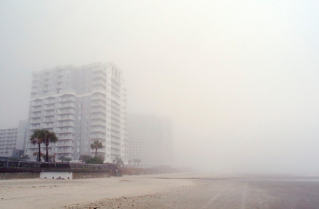 Coastal fog