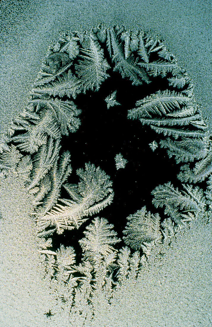 'Flowers' of hoar-frost on a window pane