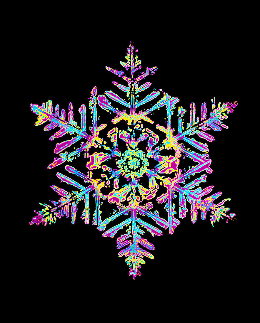 Coloured computer-enhanced image of a snowflake